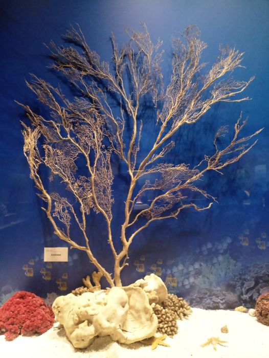 寶釵前世之迷：藤精草怪全靠石頭滋養，人沒修好就妄想做神