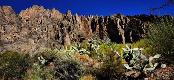 2021雲南遊-3 2021雲南遊-3