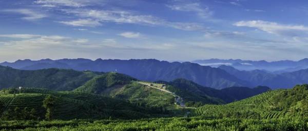 事要三思 免勞後悔