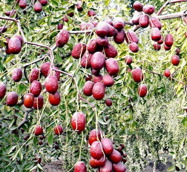 大美新疆自駕遊——從若羌到格爾木,依依不捨離開新疆 大美新疆自駕遊——從若羌到格爾木,依依不捨離開新疆