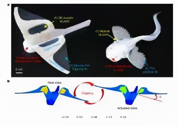 浙大爆發！8篇Nature！8篇Science