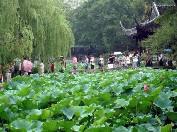 東方文學《觀雨賞荷，風乾露枝留殘香，誰人為此建暖房》