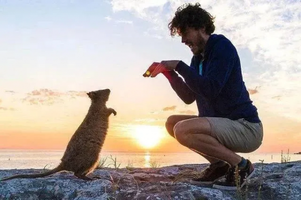 澳洲小哥靠一組照片成為“年度網紅”:絕了,每隻動物都會笑? 澳洲小哥靠一組照片成為“年度網紅”:絕了,每隻動物都會笑?