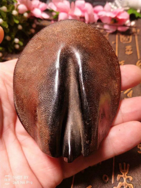 5塊錢一個的黑驢蹄子，竟被做成天珠，啥都別說，盤它