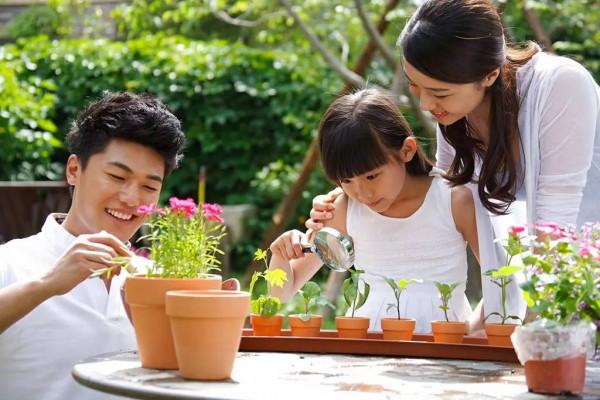 一位母親的哭訴：買手機給兒子後，他從學霸淪為學渣，被學校勸退