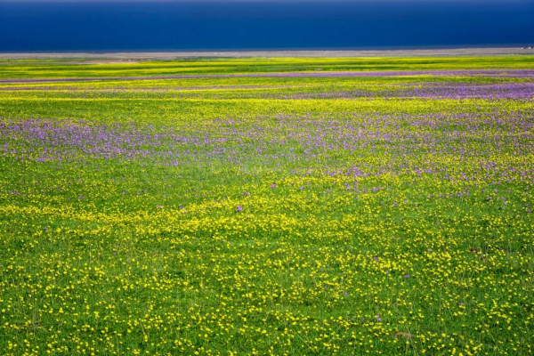 去了北疆才知道，中國有多大；去了南疆才知道，中國有多美