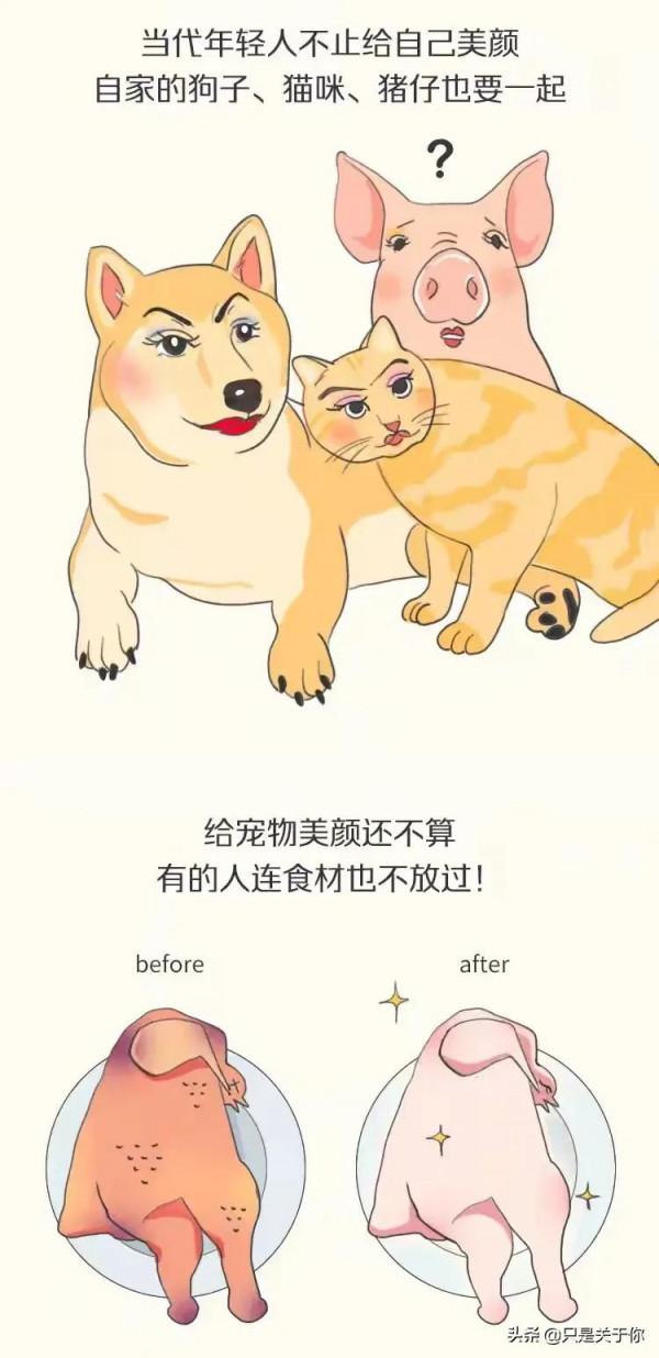 漫畫：當代女生的無美顏不曬照