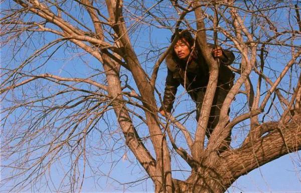 觀《hello 樹先生》:樹先生就是一個抑鬱症病人,他把自己逼瘋了 觀《hello 樹先生》:樹先生就是一個抑鬱症病人,他把自己逼瘋了