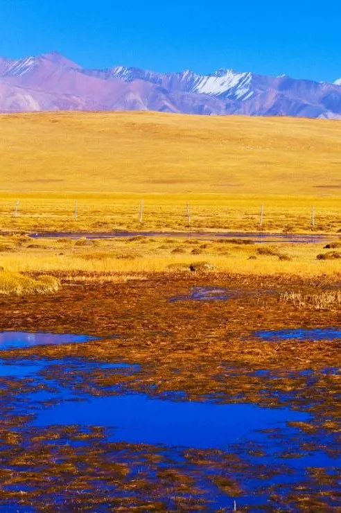 這個秋天，我想要一場去青海的旅行