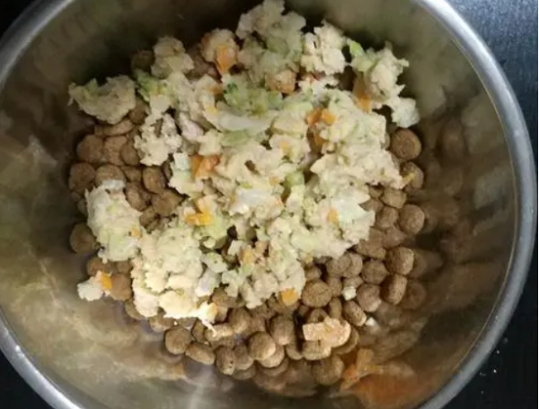 巴哥犬飲食篇：別讓你的無知，害了它