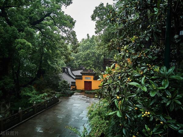 法國奶奶,為中國初戀,55年沒結婚!11年前,她83歲,嫁給初戀 法國奶奶,為中國初戀,55年沒結婚!11年前,她83歲,嫁給初戀