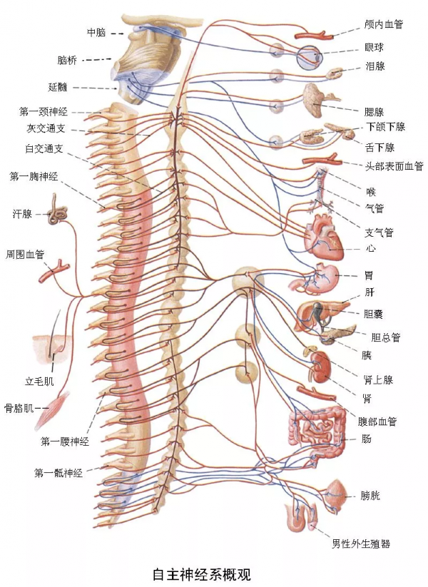 當39歲佟麗婭撞上31歲金晨,差距一目瞭然!網友驚 : 殺傷力太強了 當39歲佟麗婭撞上31歲金晨,差距一目瞭然!網友驚 : 殺傷力太強了