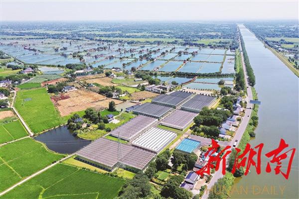 山鄉鉅變入畫來&mdash;&mdash;紮實踐行習近平總書記考察湖南重要講話指示精神紀實之三