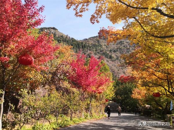 秋天是小眾旅遊地：看楓葉的好地方，人少景美
