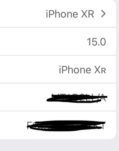 XR升級到15.0到底行不行 XR升級到15.0到底行不行