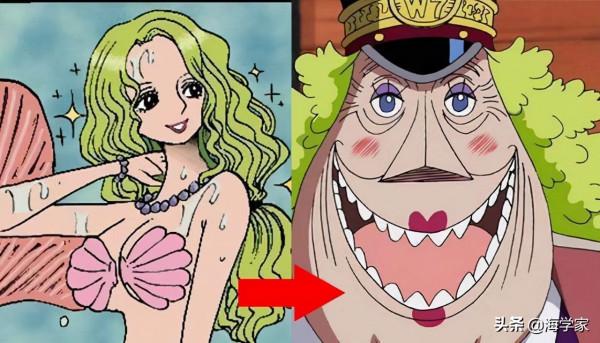 海賊王:時間真是把殺豬刀!這七位大媽年輕時誰也不比娜美差? 海賊王:時間真是把殺豬刀!這七位大媽年輕時誰也不比娜美差?