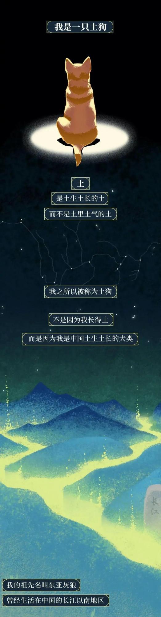 為啥中國的「土狗」正逐漸消失?一組漫畫了解原因,太現實了 為啥中國的「土狗」正逐漸消失?一組漫畫了解原因,太現實了