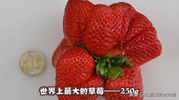 盤點18種全球最大的水果、蔬菜,都是常見的,卻大到讓人瞠目結舌 盤點18種全球最大的水果、蔬菜,都是常見的,卻大到讓人瞠目結舌