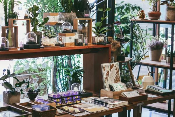 秋冬季節要為花草越冬做好準備了，16條越冬技巧，為它們保駕護航