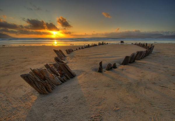 80個神奇照片，最早的鼻罩，比小鎮還大的巨輪，打獵的精美裝備