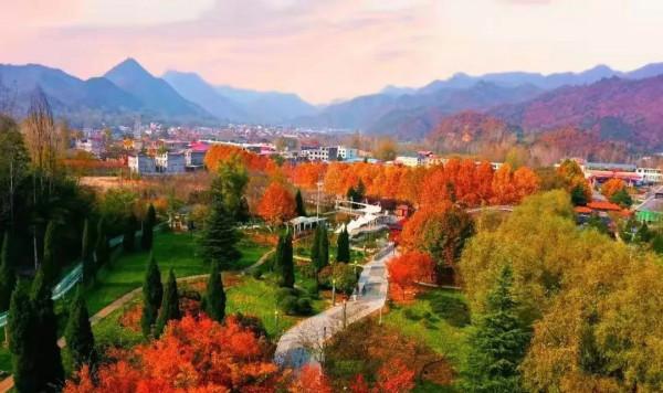 惠遊金秋,雞冠洞的炫彩千萬別錯過 惠遊金秋,雞冠洞的炫彩千萬別錯過