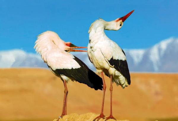 26張極致大片，尋找地球最美的角落