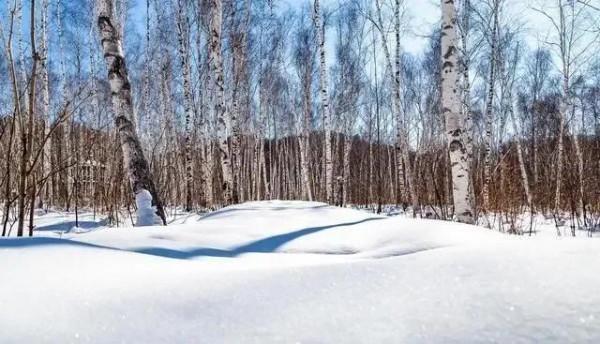 冬季釣魚，這4種晴天沒魚吃鉤，不要去浪費時間