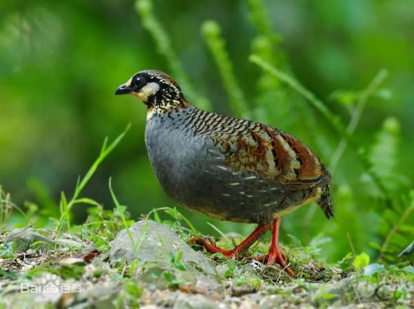 遇間旅遊 | 更新旅遊打卡地！領略大中國國家公園~我在三亞等你
