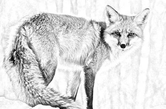 民間故事:男子雨夜借宿,一個美貌女子託夢道:快逃,這是墳墓 民間故事:男子雨夜借宿,一個美貌女子託夢道:快逃,這是墳墓