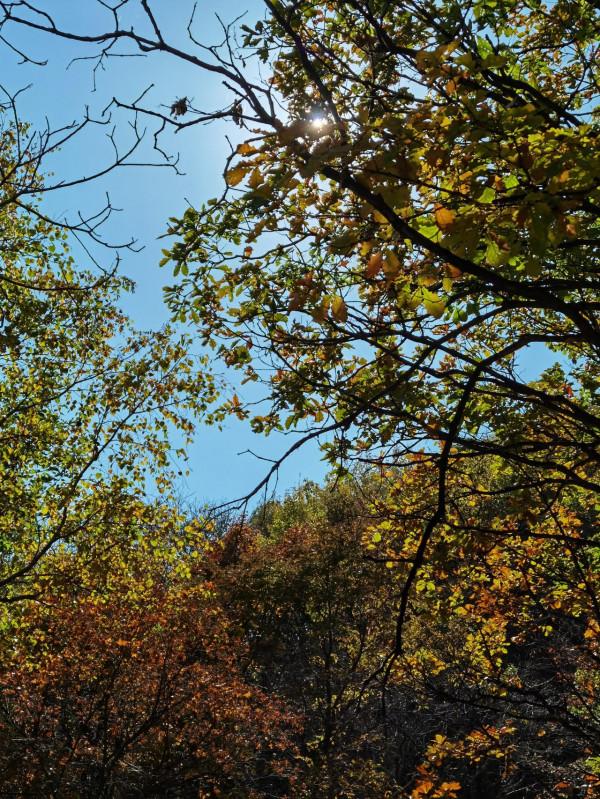 喇叭溝門——秋季賞楓賞白樺 喇叭溝門——秋季賞楓賞白樺