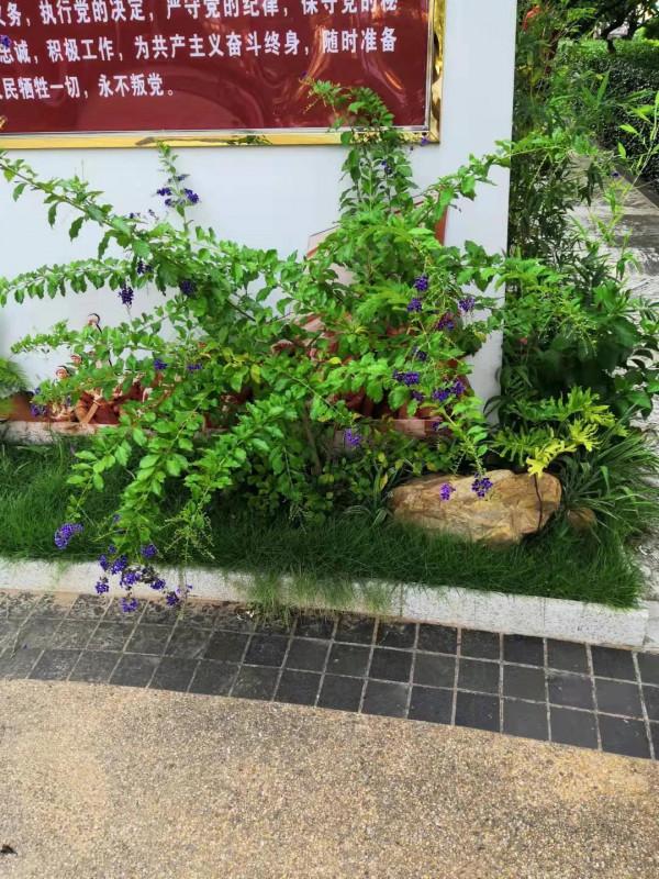 最便宜的5G手機,8+256G才不到1500元 最便宜的5G手機,8+256G才不到1500元