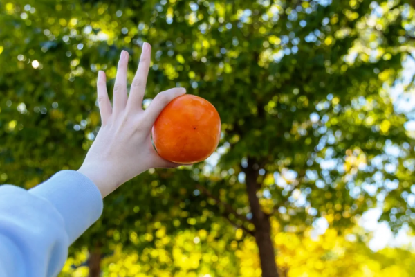 來吧！清空北科專屬購物車！