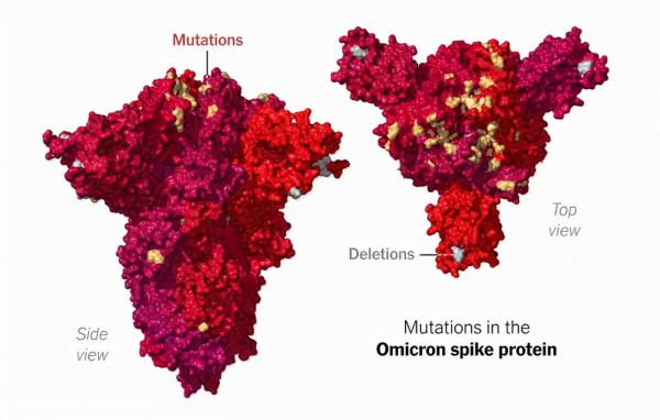 又出現新的變異毒株,實體店該何去何從? 又出現新的變異毒株,實體店該何去何從?