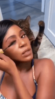 40張奇特而有趣的貓照片，看了讓人心情愉快