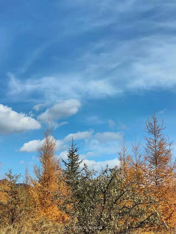 宣化紅一師老戰友遊走大明宣府青邊口，晚秋景色亦迷人