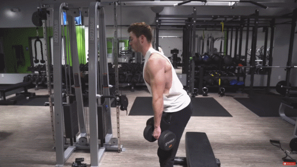 一組適合新手的練背動作，幫你打造厚實的背部，提高自身魅力