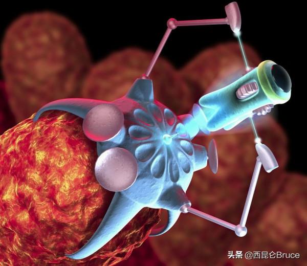 又是中國科學家！哈工大研發出能治癌症的機器人，動物實驗已成功