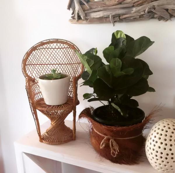 純乾貨 | 養花人必知的20條常識,收好了 純乾貨 | 養花人必知的20條常識,收好了