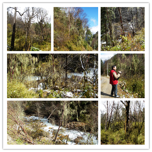 2012年 L-2 彩林之旅-孟屯河谷7老君溝 2012年 L-2 彩林之旅-孟屯河谷7老君溝