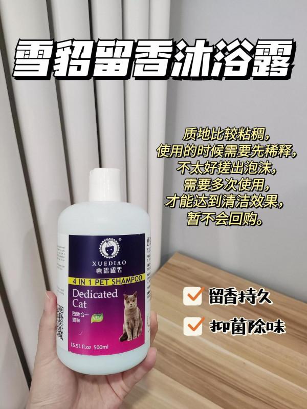 貓咪秒變香香，你可以照我說的這樣做