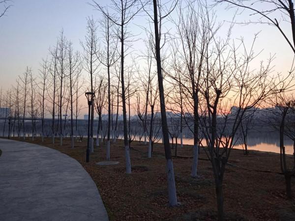 60多歲的小於子阿姨走了，是在養老院走的(原創)