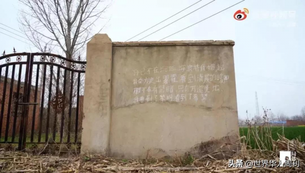 51歲中國農婦登上聯合國演講臺，為什麼大家都在勸她離婚？