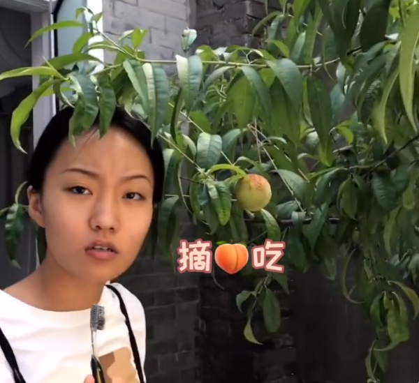 不帶貨不開小櫥窗，“貝勒爺”的清醒，扯下了多少網紅的遮羞布？