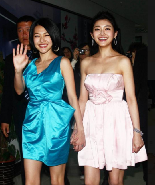 8對“抱團掙錢”的姐妹花，個個有錢，李冰冰姐妹身家超10億