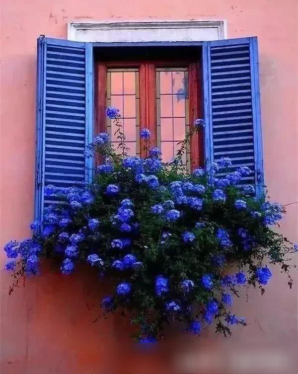 花園式窗臺，美得不像話，趕緊收藏起來