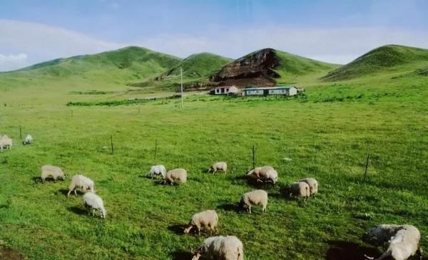 中國最美的9大草原，一輛車，三五好友，就可以馳騁在草原上