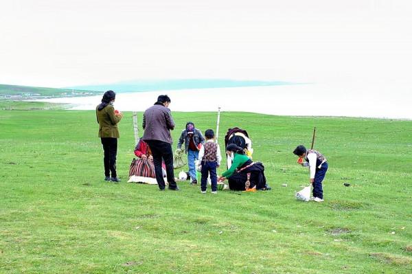 標緻4008環青海長測Day9：鳥島叫“蚊子島”，沿青海沿線達剛察！