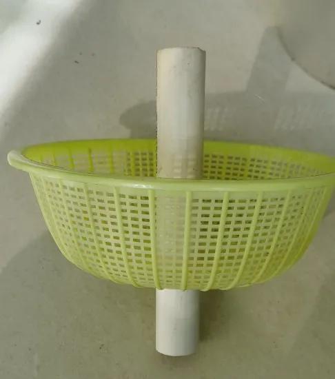 自己動手做不需換水的水培蔥容器 自己動手做不需換水的水培蔥容器