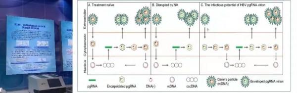 “十三五”科技展上的北大突破