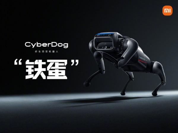 小米 12 預熱：將釋出 CyberFocus 萬物追焦技術，實現快速抓拍